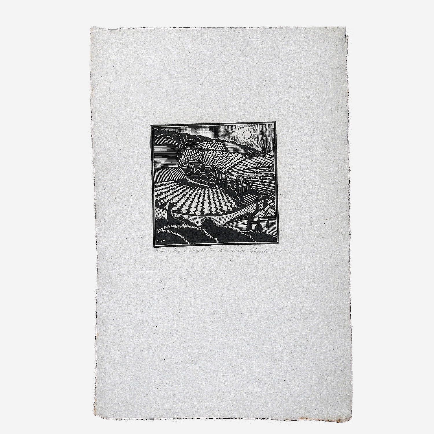 Song of Solomon – Solomon Had a Vineyard