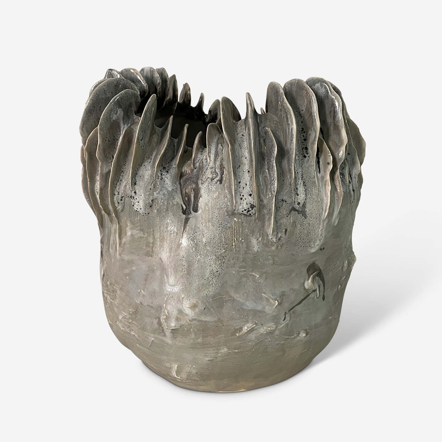 Corpinus Cinerus Magna