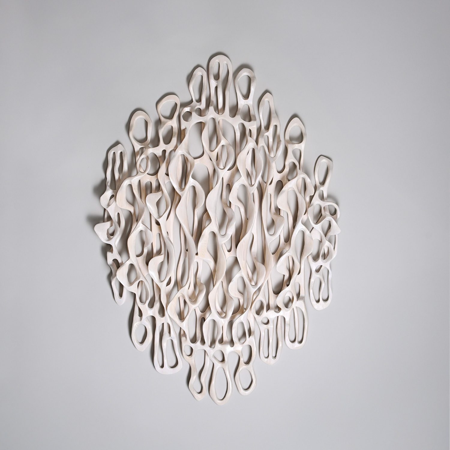 White Delicate Loops