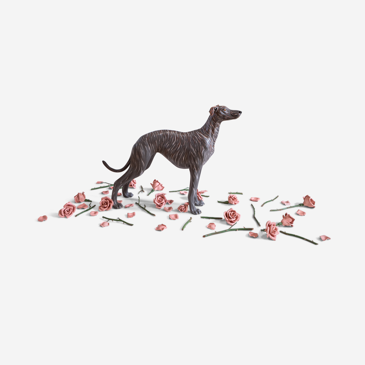 Dog on a Bed of Roses