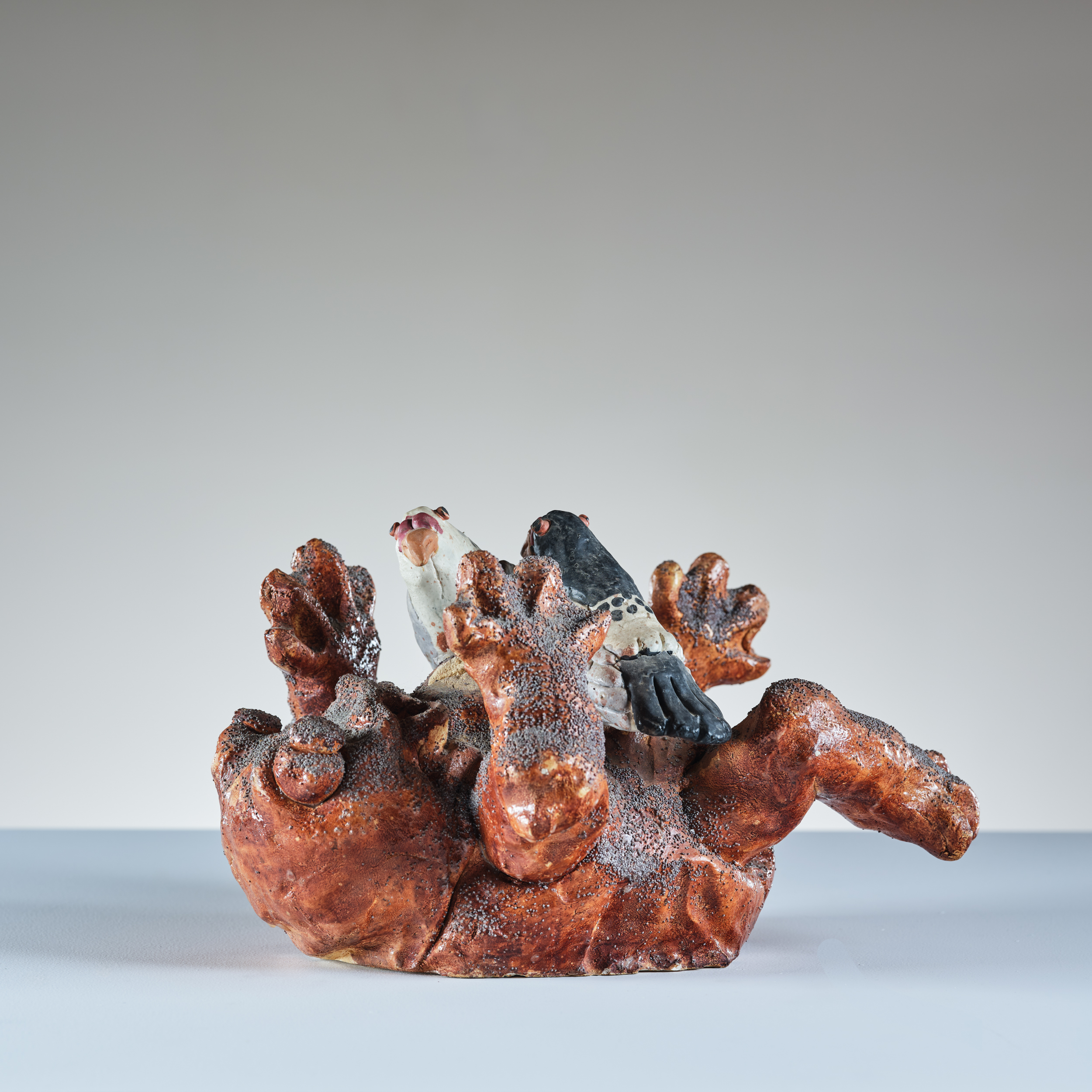 Bread Frog Eaten By Pigeons