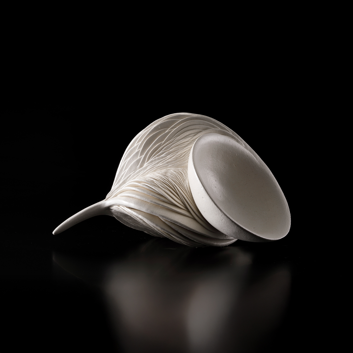 Swim Among the Stars