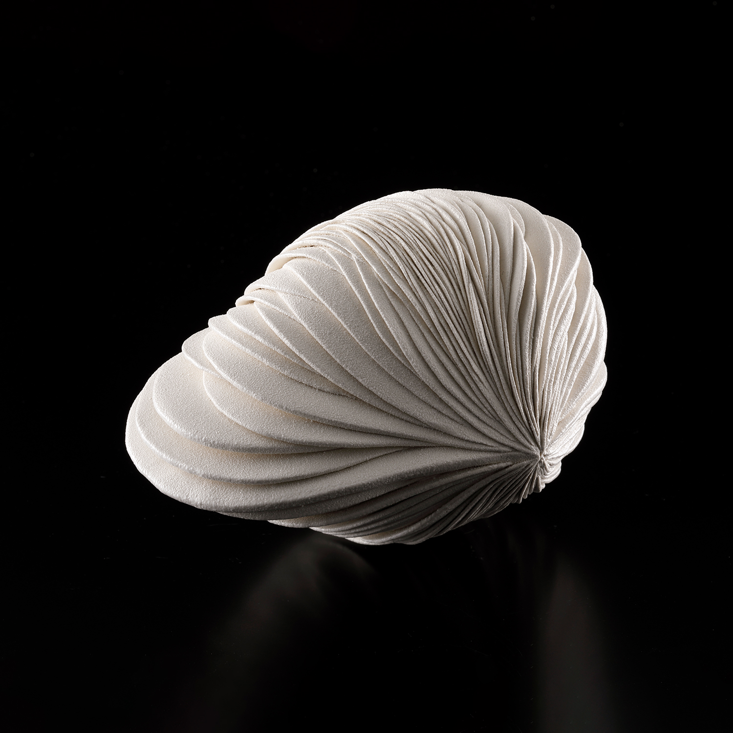 At the Bottom of the Sea