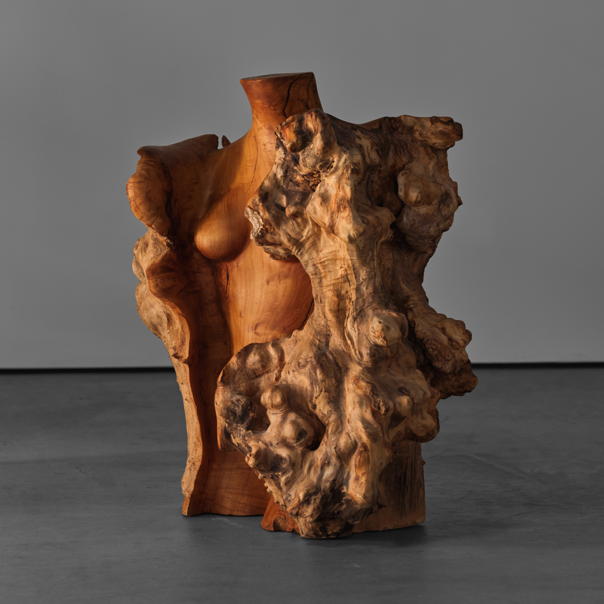 Female Form by Hap Sakwa – 1983 – MG2074-3